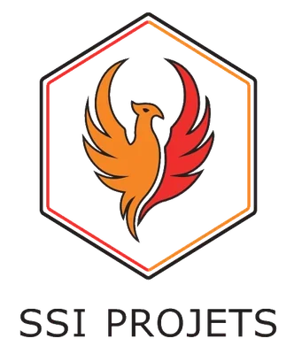 SSI Project